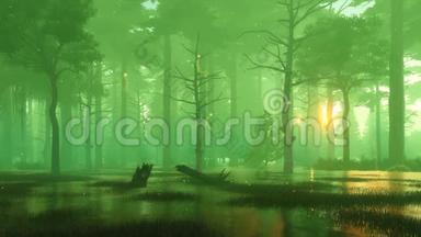雾蒙蒙的神秘森林沼泽上的神奇萤火虫灯